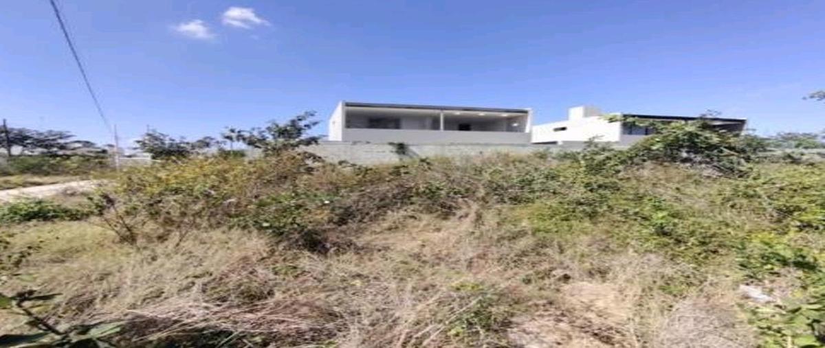 Foto de terreno habitacional en venta en  , dzitya, mérida, yucatán, 0 No. 03