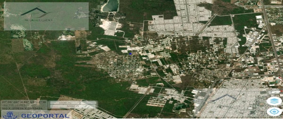 Foto de terreno habitacional en , dzitya, mérida, yucatán, 27251758 foto 05 Foto de terreno habitacional en venta en , dzitya, mérida, yucatán, 27251758 No. 05
