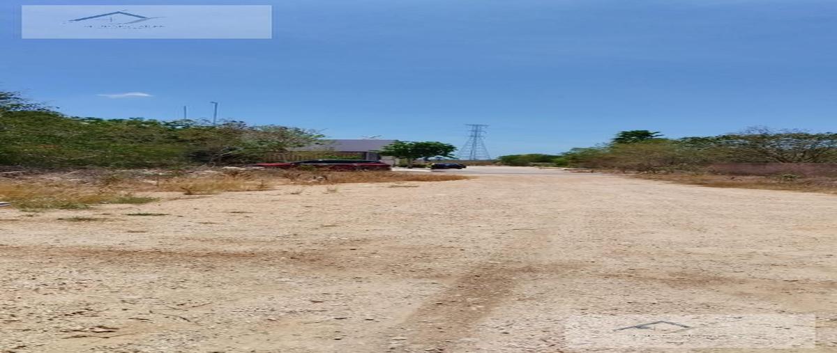 Foto de terreno habitacional en venta en  , dzitya, mérida, yucatán, 27251760 No. 04