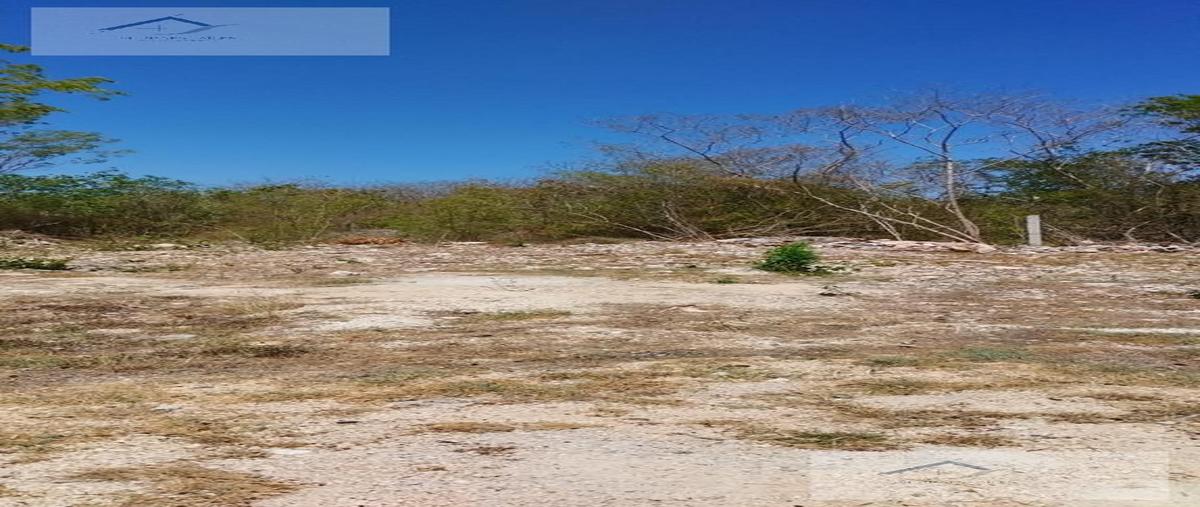 Foto de terreno habitacional en venta en  , dzitya, mérida, yucatán, 27251760 No. 05