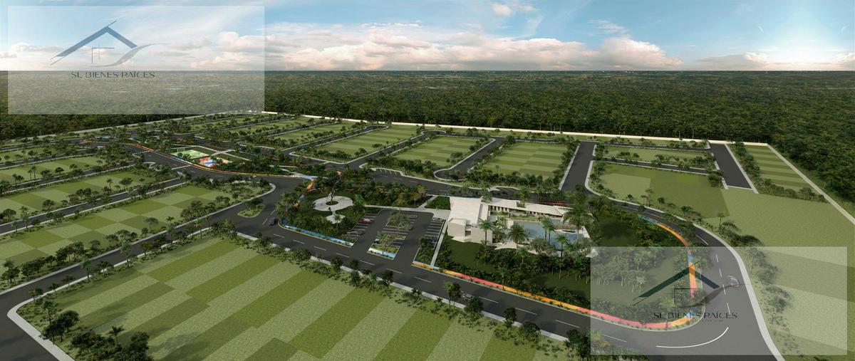 Foto de terreno habitacional en venta en  , dzitya, mérida, yucatán, 0 No. 03
