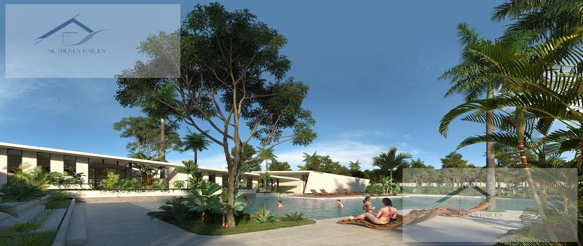 Foto de terreno habitacional en venta en  , dzitya, mérida, yucatán, 0 No. 05