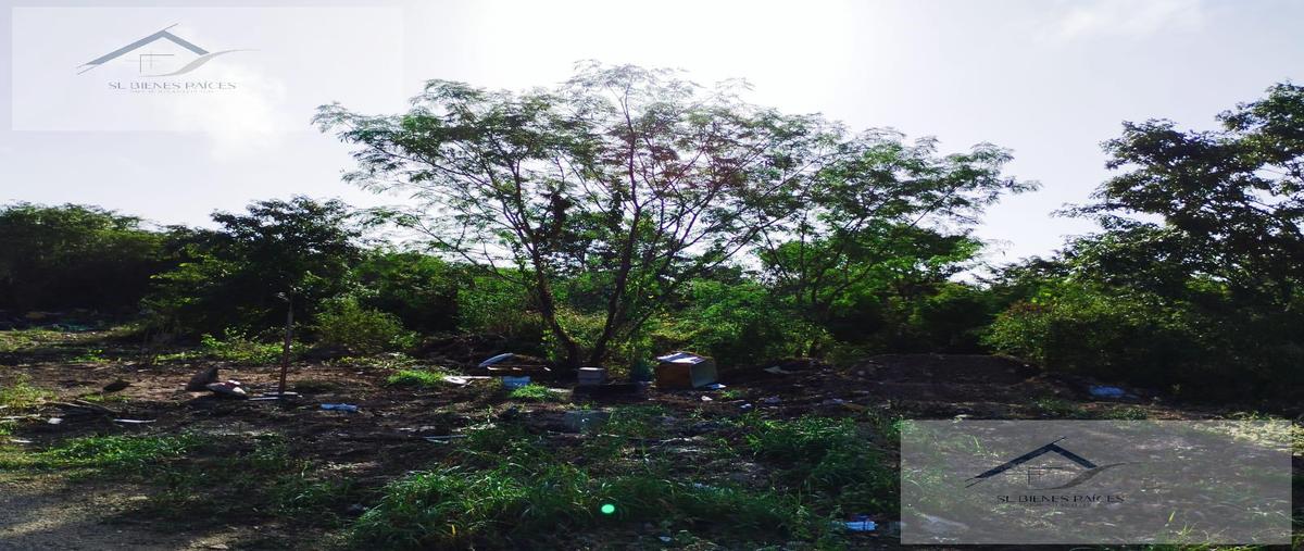Foto de terreno habitacional en venta en  , dzitya, mérida, yucatán, 0 No. 03