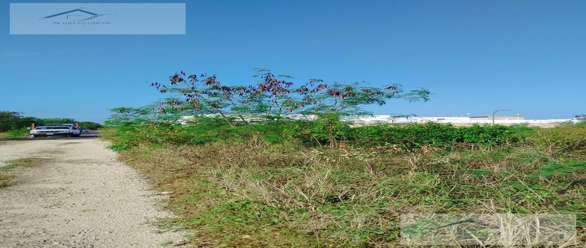Foto de terreno habitacional en venta en  , dzitya, mérida, yucatán, 27621440 No. 04