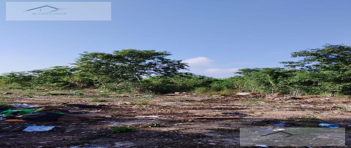 Foto de terreno habitacional en venta en  , dzitya, mérida, yucatán, 27621440 No. 05