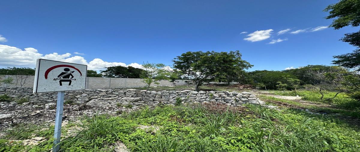 Foto de terreno habitacional en venta en  , dzitya, mérida, yucatán, 27623008 No. 03