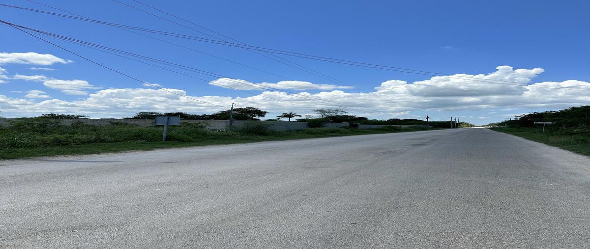 Foto de terreno habitacional en venta en  , dzitya, mérida, yucatán, 27623008 No. 04