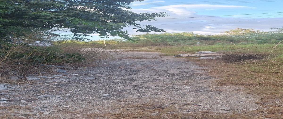 Foto de terreno habitacional en venta en  , dzitya, mérida, yucatán, 27639014 No. 03