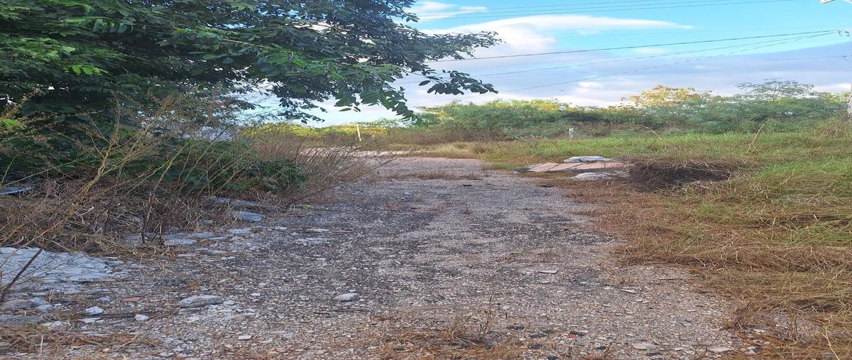 Foto de terreno habitacional en venta en  , dzitya, mérida, yucatán, 27639014 No. 04