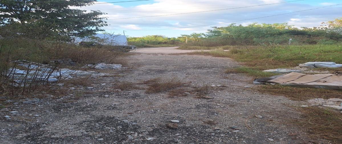 Foto de terreno habitacional en venta en  , dzitya, mérida, yucatán, 27639014 No. 05