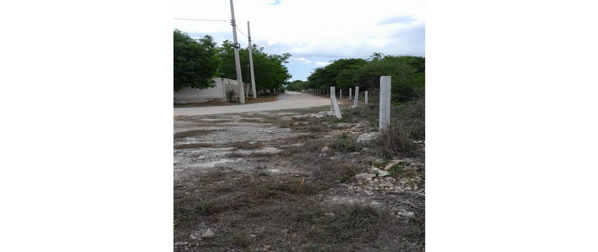Foto de terreno habitacional en , dzitya, mérida, yucatán, 0 foto 02 Foto de terreno habitacional en venta en , dzitya, mérida, yucatán, 0 No. 02