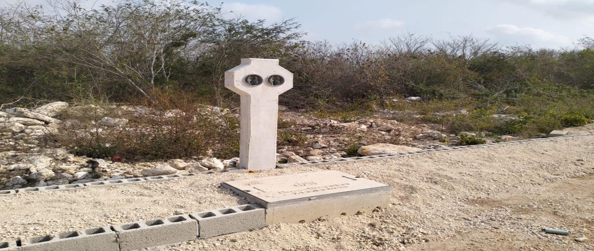 Foto de terreno habitacional en venta en  , dzitya, mérida, yucatán, 27979847 No. 04