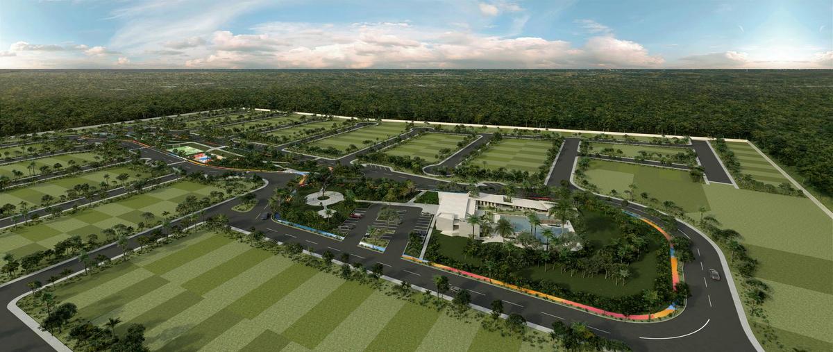 Foto de terreno habitacional en venta en  , dzitya, mérida, yucatán, 0 No. 03