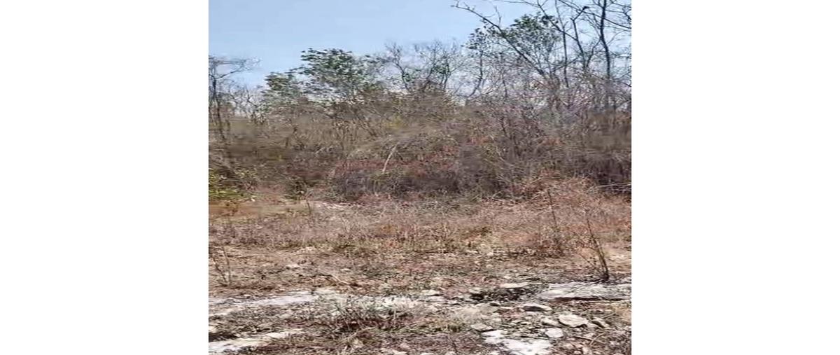 Foto de terreno habitacional en venta en  , dzitya, mérida, yucatán, 0 No. 04