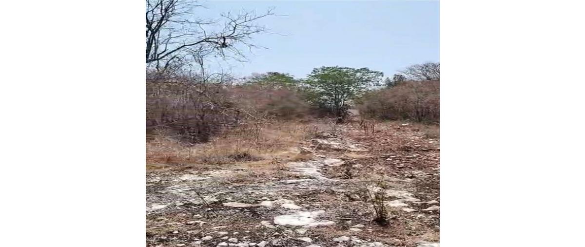 Foto de terreno habitacional en venta en  , dzitya, mérida, yucatán, 0 No. 05