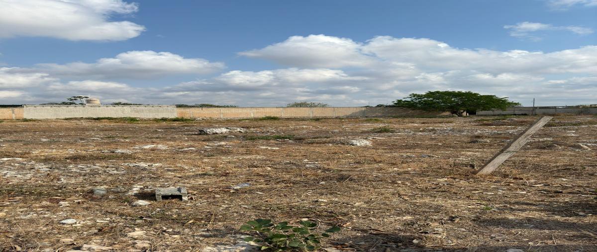 Foto de terreno habitacional en venta en  , dzitya, mérida, yucatán, 28163765 No. 03