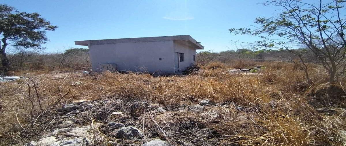 Foto de terreno habitacional en renta en  , dzitya, mérida, yucatán, 28169824 No. 04