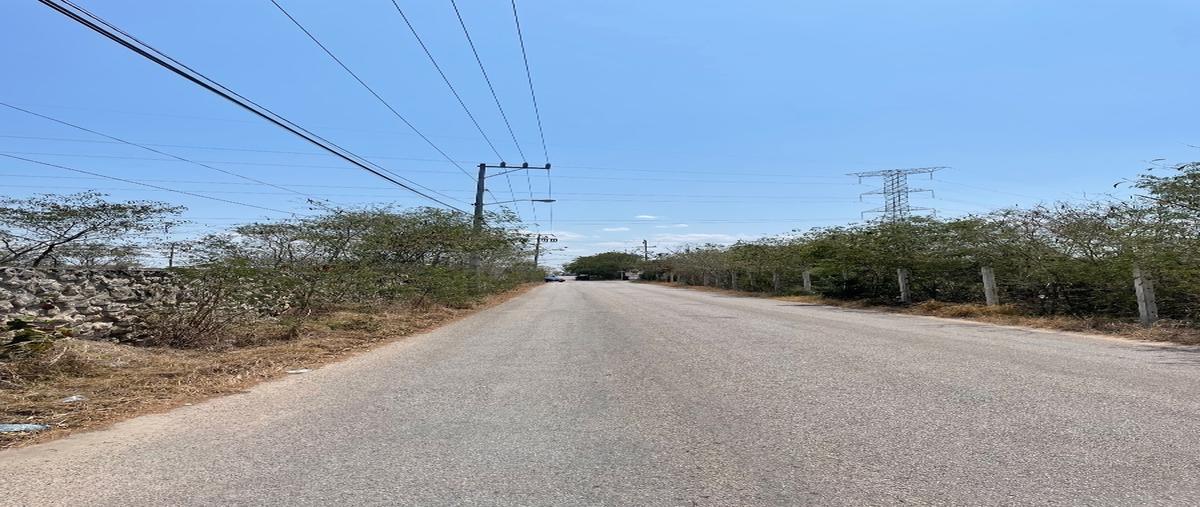 Foto de terreno habitacional en venta en  , dzitya, mérida, yucatán, 28218872 No. 03