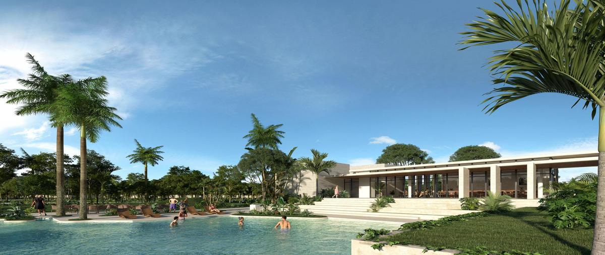Foto de terreno habitacional en venta en  , dzitya, mérida, yucatán, 0 No. 05