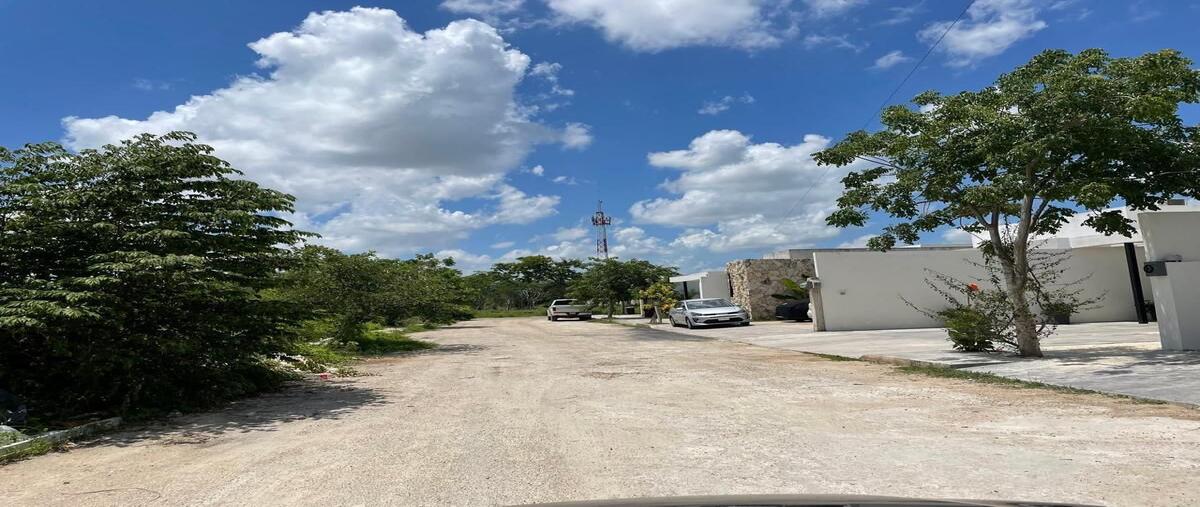 Foto de terreno habitacional en venta en  , dzitya, mérida, yucatán, 28375589 No. 04