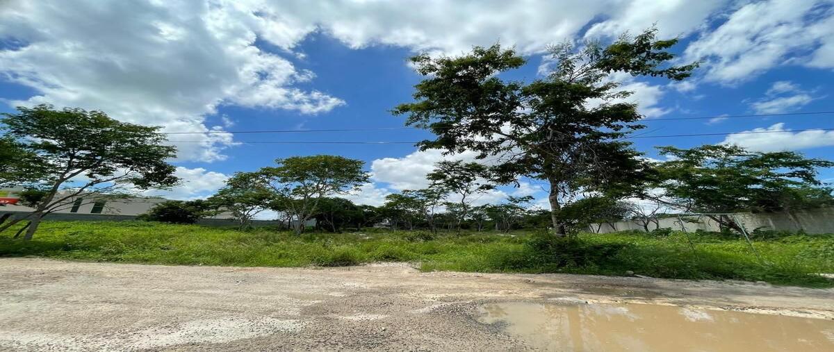 Foto de terreno habitacional en venta en  , dzitya, mérida, yucatán, 28375589 No. 05