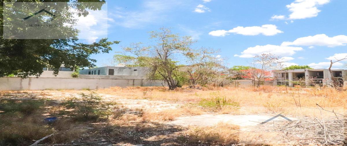 Foto de terreno habitacional en venta en  , dzitya, mérida, yucatán, 0 No. 04