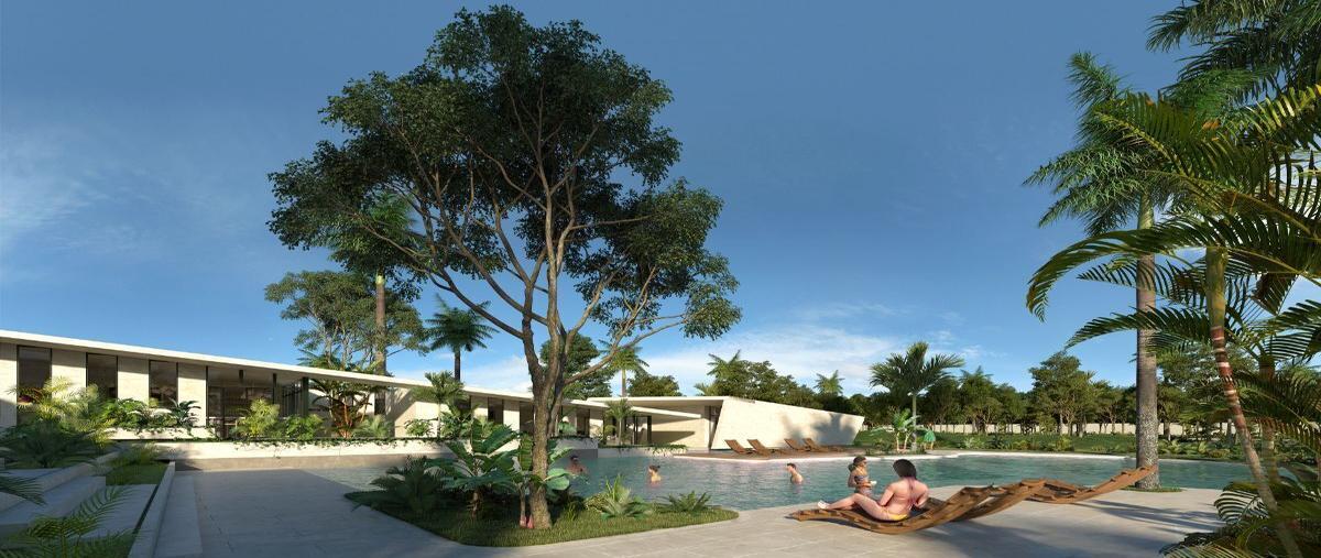 Foto de terreno habitacional en venta en  , dzitya, mérida, yucatán, 29080631 No. 05