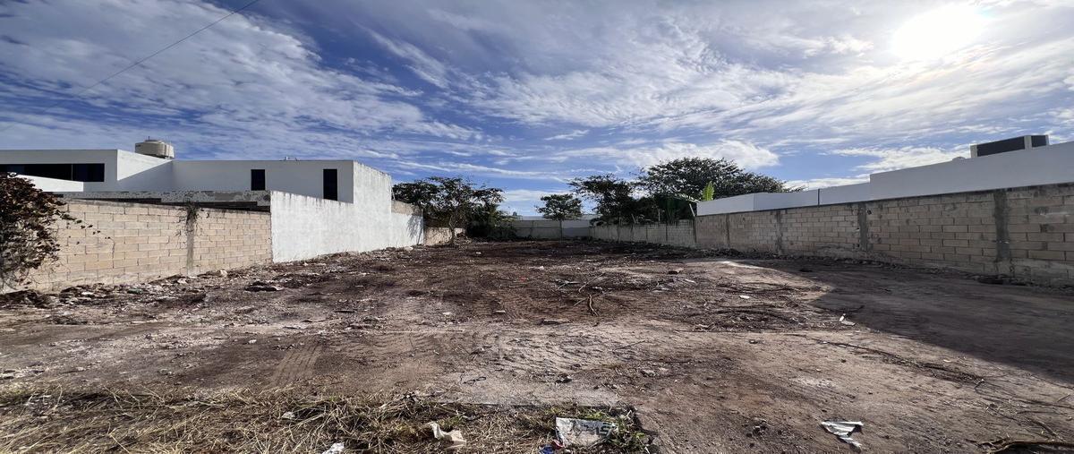 Foto de terreno habitacional en , dzitya, mérida, yucatán, 29272766 foto 04 Foto de terreno habitacional en venta en , dzitya, mérida, yucatán, 29272766 No. 04
