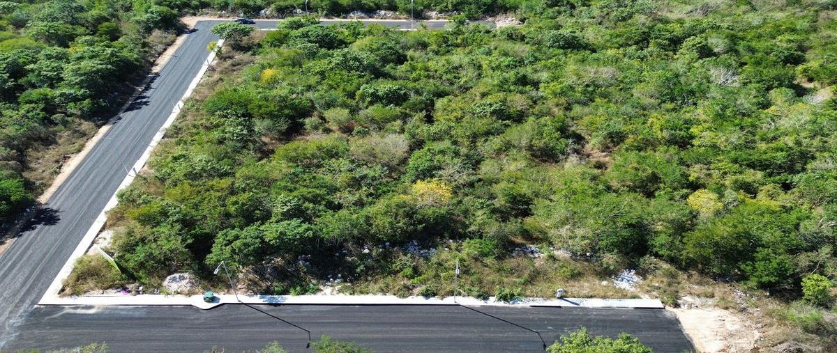 Foto de terreno habitacional en venta en  , dzitya, mérida, yucatán, 29345659 No. 04