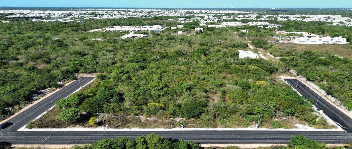 Foto de terreno habitacional en venta en  , dzitya, mérida, yucatán, 29345659 No. 09