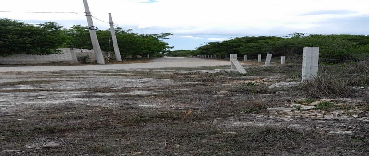 Foto de terreno habitacional en , dzitya, mérida, yucatán, 0 foto 01 Foto de terreno habitacional en venta en , dzitya, mérida, yucatán, 0 No. 01