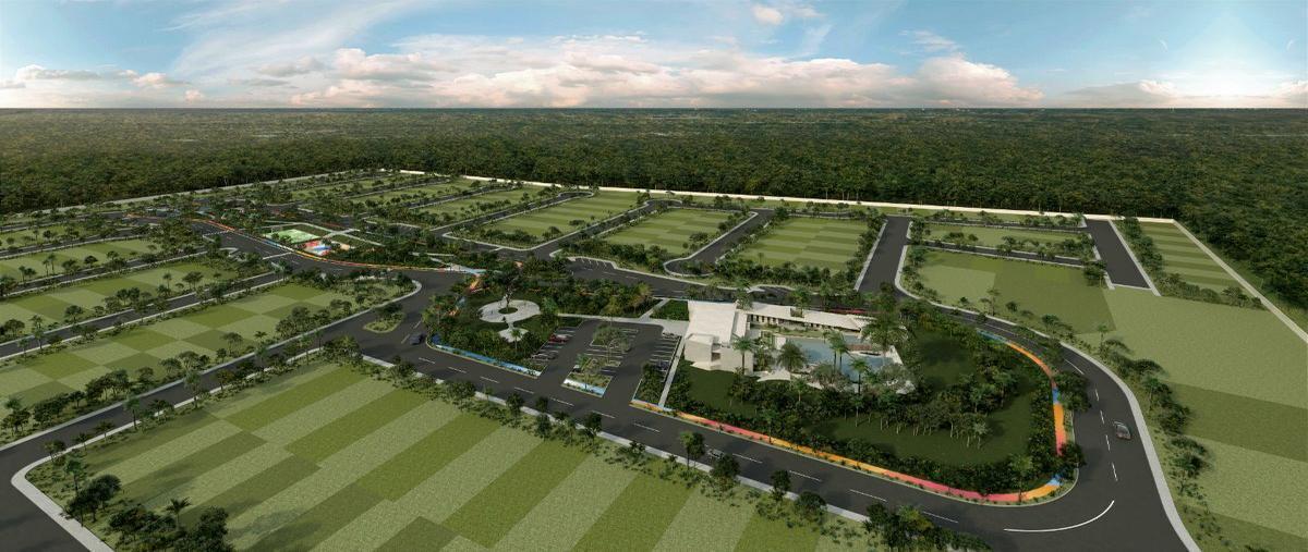 Foto de terreno habitacional en venta en  , dzitya, mérida, yucatán, 0 No. 04