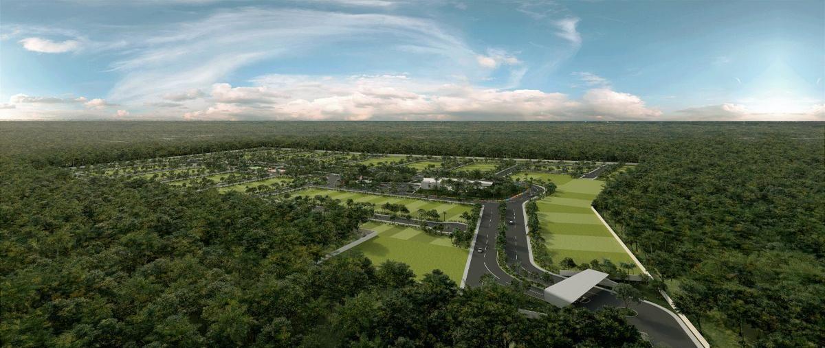 Foto de terreno habitacional en venta en  , dzitya, mérida, yucatán, 0 No. 05