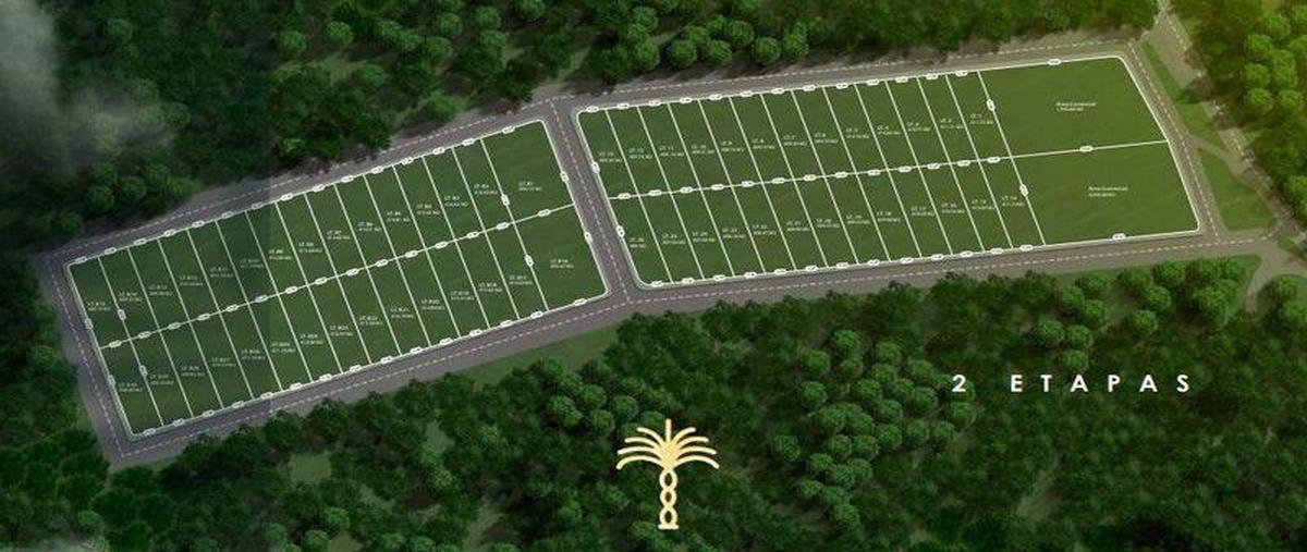 Foto de terreno habitacional en venta en  , dzitya, mérida, yucatán, 0 No. 03