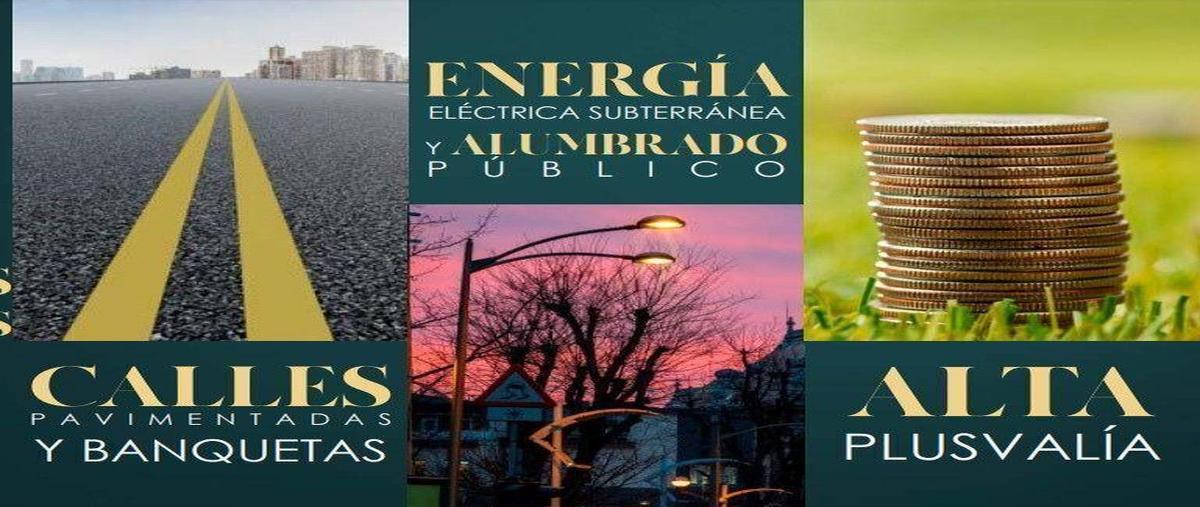 Foto de terreno habitacional en venta en  , dzitya, mérida, yucatán, 0 No. 05