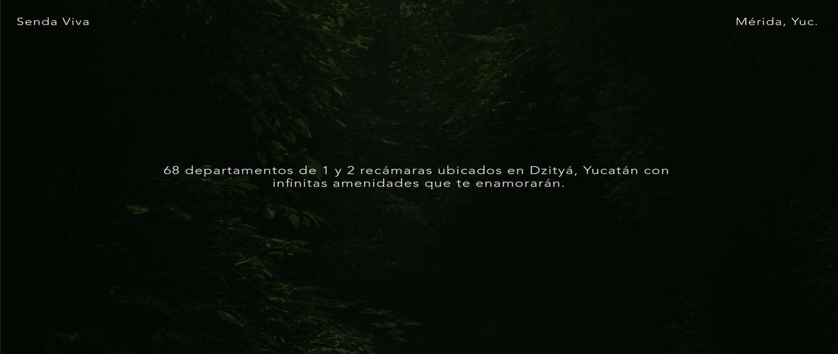 Foto de departamento en venta en  , dzitya, mérida, yucatán, 0 No. 05