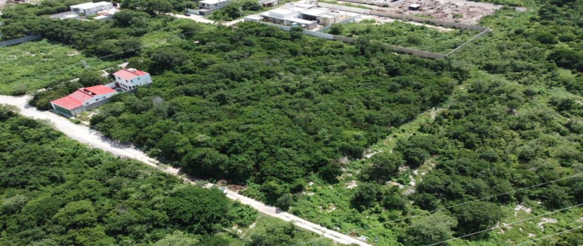 Foto de terreno habitacional en venta en  , dzitya, mérida, yucatán, 0 No. 04