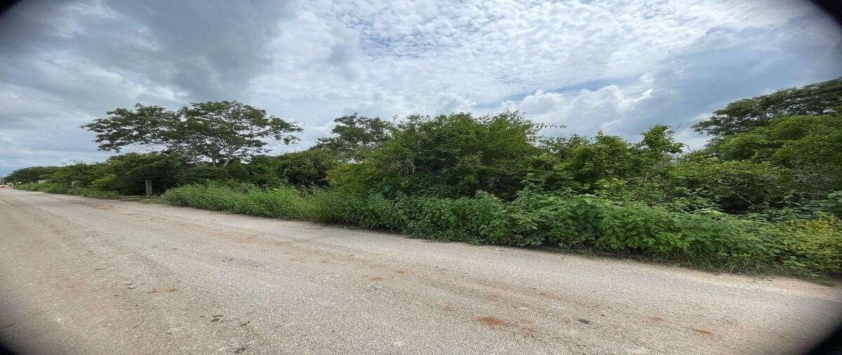 Foto de terreno habitacional en venta en  , dzitya, mérida, yucatán, 0 No. 04