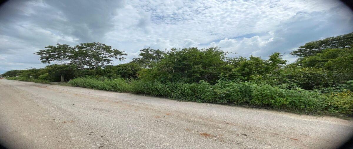 Foto de terreno habitacional en venta en  , dzitya, mérida, yucatán, 0 No. 04