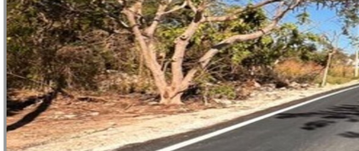 Foto de casa en venta en  , dzitya, mérida, yucatán, 29727225 No. 04