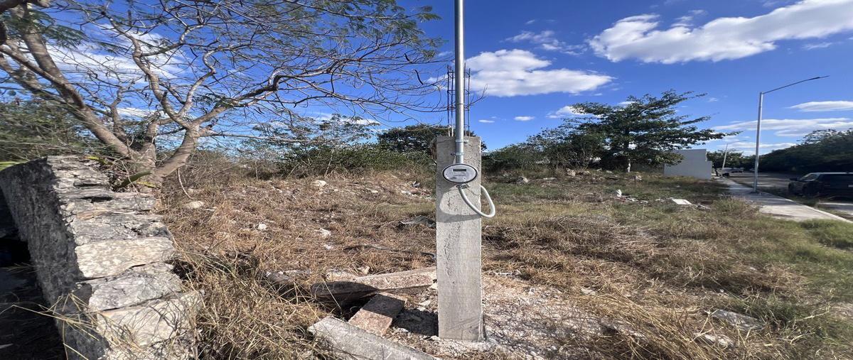 Foto de terreno comercial en renta en  , dzitya, mérida, yucatán, 29784606 No. 03