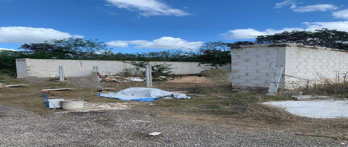 Foto de terreno habitacional en venta en  , dzitya, mérida, yucatán, 29867802 No. 04