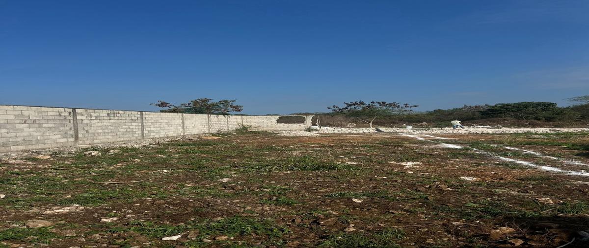 Foto de terreno habitacional en venta en  , dzitya, mérida, yucatán, 29903490 No. 03