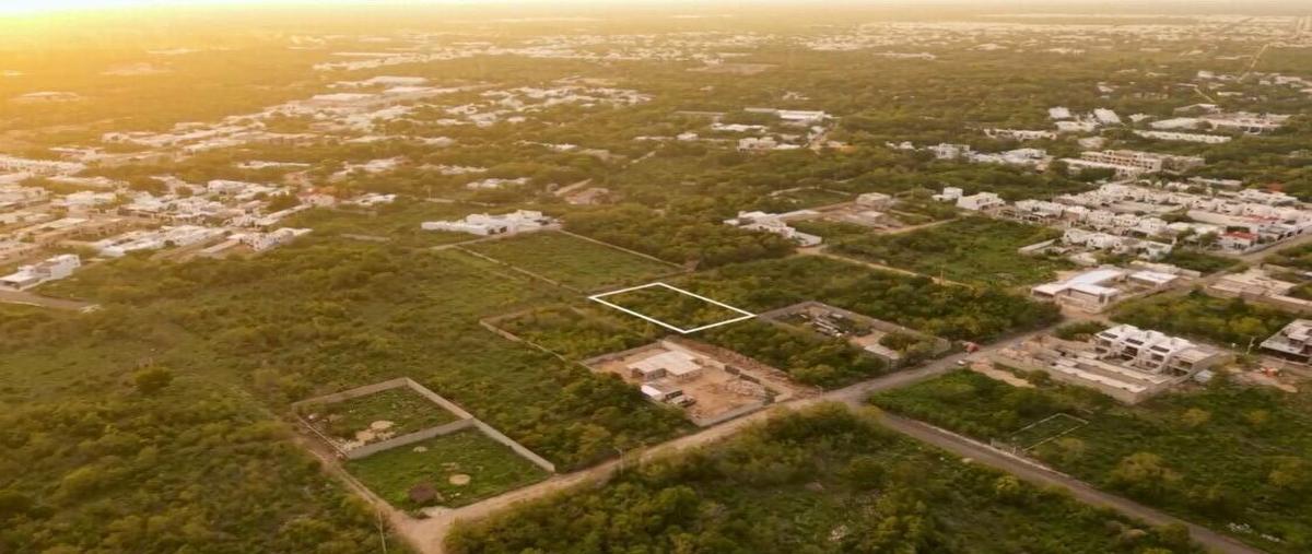 Foto de terreno habitacional en venta en  , dzitya, mérida, yucatán, 30112591 No. 05