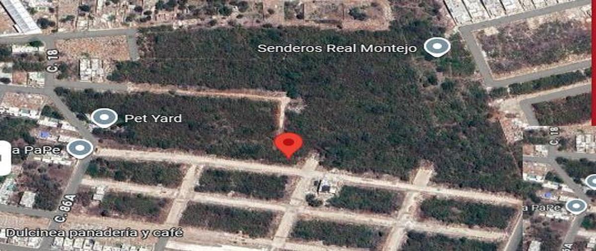 Foto de terreno habitacional en venta en  , dzitya, mérida, yucatán, 30203483 No. 04