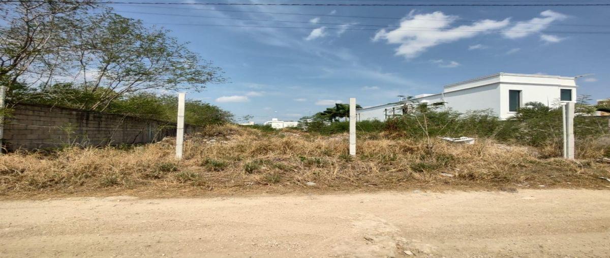 Foto de terreno habitacional en , dzitya, mérida, yucatán, 30298481 foto 04 Foto de terreno habitacional en venta en , dzitya, mérida, yucatán, 30298481 No. 04