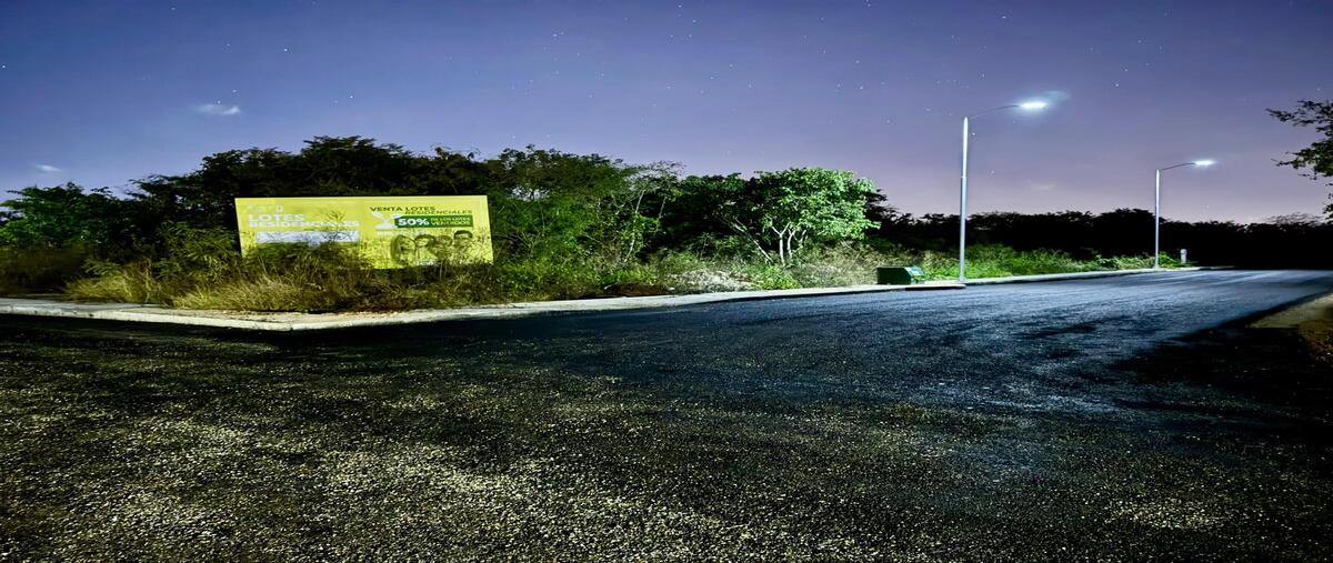Foto de terreno habitacional en venta en  , dzitya, mérida, yucatán, 0 No. 04