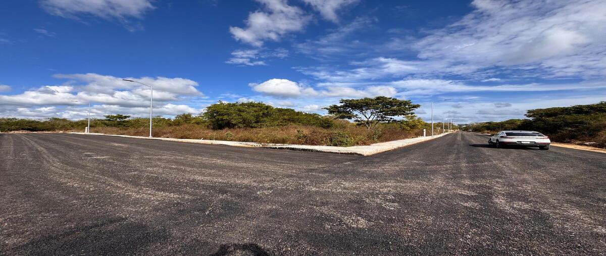 Foto de terreno habitacional en venta en  , dzitya, mérida, yucatán, 0 No. 05