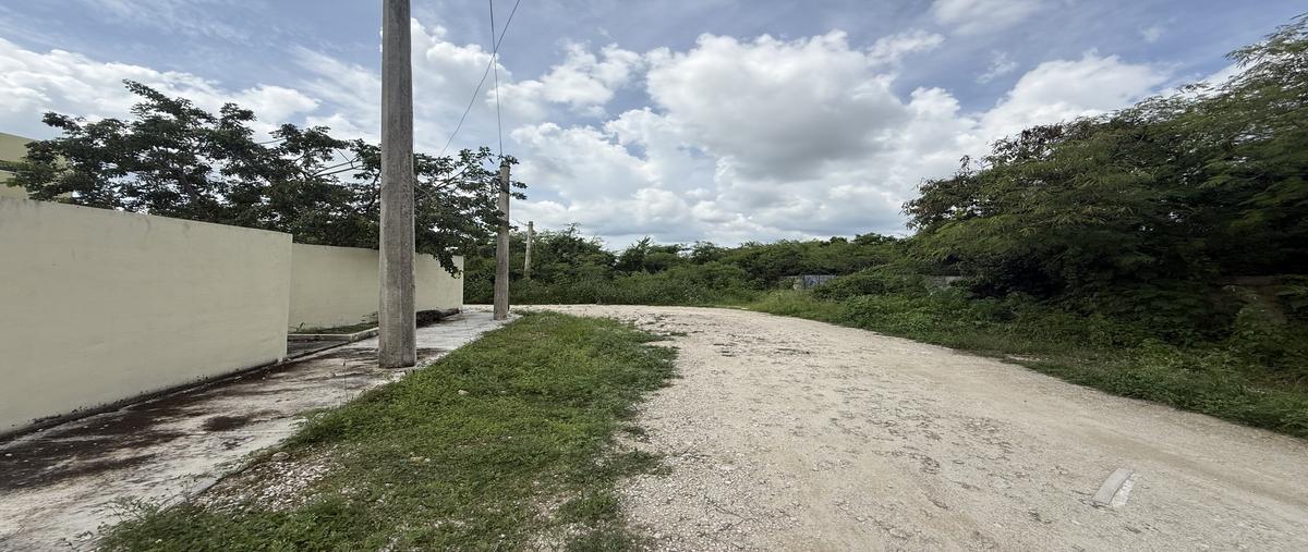 Foto de casa en , dzitya, mérida, yucatán, 0 foto 03 Foto de casa en venta en , dzitya, mérida, yucatán, 0 No. 03