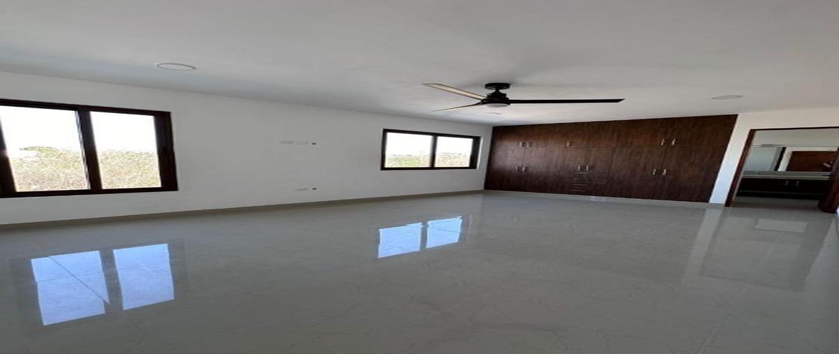 Foto de casa en renta en  , dzitya, mérida, yucatán, 0 No. 05